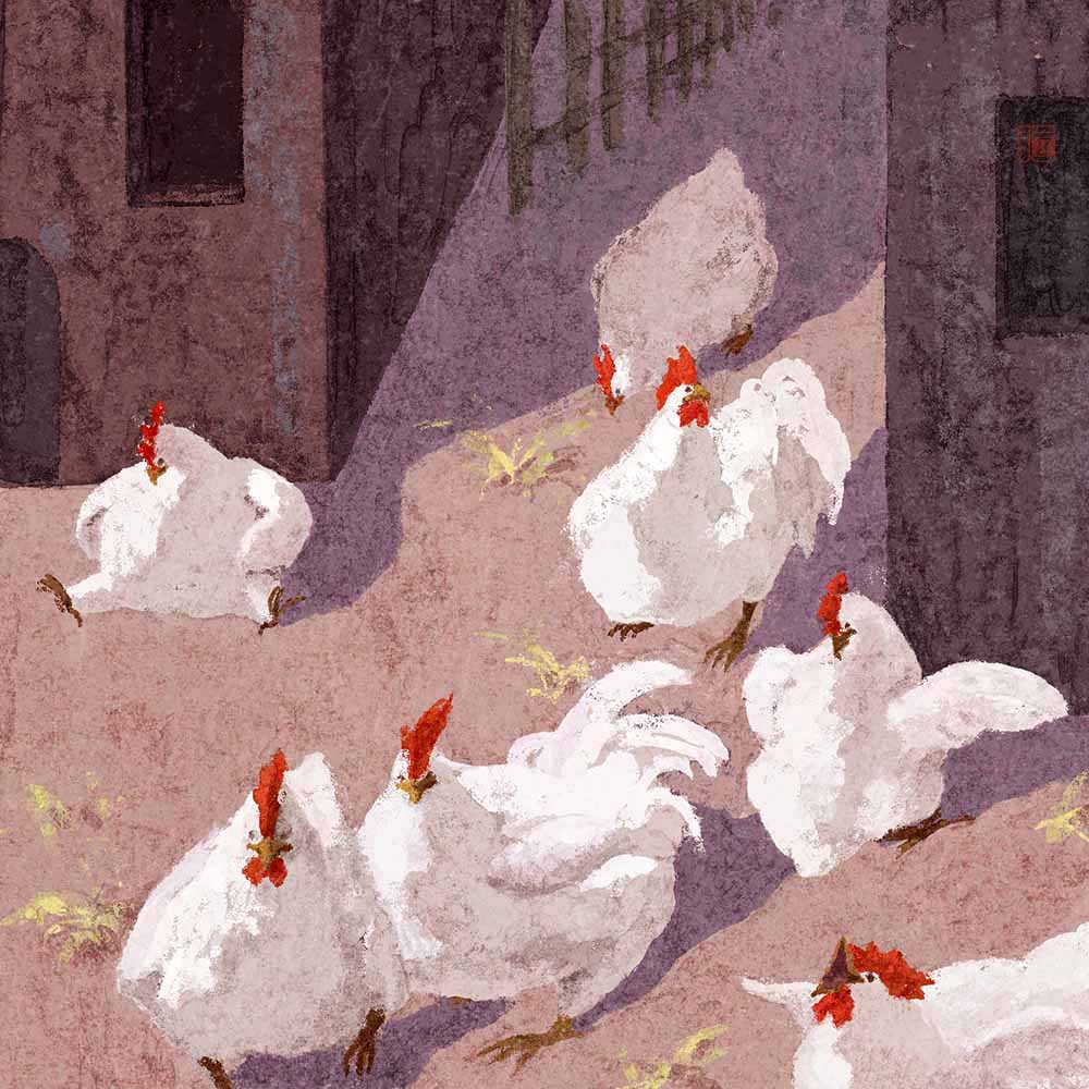 The chickens walked into the sunlight.